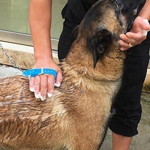 Pet Shower Tool